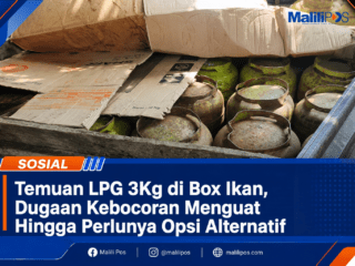 Temuan LPG 3Kg di Box Ikan, Dugaan Kebocoran Menguat Hingga Perlunya Opsi Alternatif