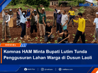 Komnas HAM Minta Bupati Lutim Tunda Penggusuran Lahan Warga di Dusun Laoli