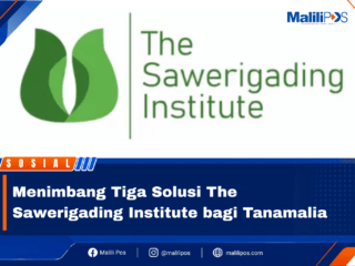 Menimbang Tiga Solusi The Sawerigading Institute bagi Tanamalia