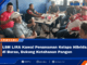 LSM LIRA Kawal Penanaman Kelapa Hibrida di Burau, Dukung Ketahanan Pangan