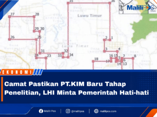 Camat Pastikan PT.KIM Masih Tahap Penelitian, LHI Minta Pemerintah Hati-hati