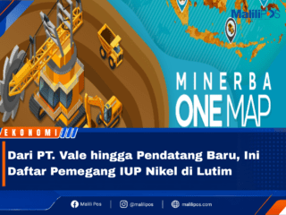 Dari PT. Vale hingga Pendatang Baru, Ini Daftar Pemegang IUP Nikel di Lutim
