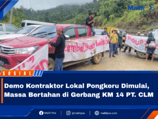 Demo Kontraktor Lokal Pongkeru Dimulai, Massa Bertahan di Gerbang KM 14 PT. CLM