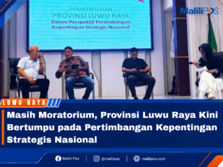 Masih Moratorium, Provinsi Luwu Raya Kini Bertumpu pada Pertimbangan Kepentingan Strategis Nasional