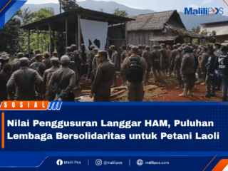 Nilai Penggusuran Langgar HAM, Puluhan Lembaga Bersolidaritas untuk Petani Laoli