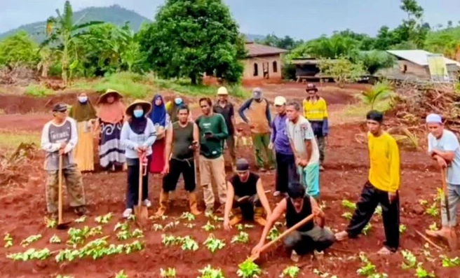 Potret Petani Laoli di Desa Harapan Kecamatan Malili Kabupaten Luwu Timur