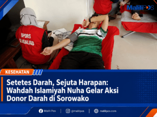 Setetes Darah, Sejuta Harapan: Wahdah Islamiyah Nuha Gelar Aksi Donor Darah di Sorowako