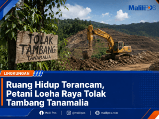 Ruang Hidup Terancam, Petani Loeha Raya Tolak Tambang Tanamalia
