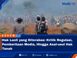 Hak Laoli yang Diterabas: Kritik Regulasi, Pemberitaan Media, Hingga Asal-usul Hak Tanah