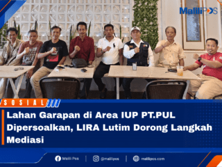 Lahan Garapan di Area IUP PT.PUL Dipersoalkan, LIRA Lutim Dorong Langkah Mediasi