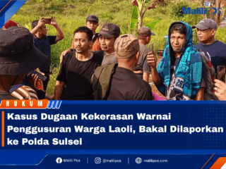 Kasus Dugaan Kekerasan Warnai Penggusuran Warga Laoli, Bakal Dilaporkan ke Polda Sulsel