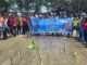 Tanam 300 Mangrove dan Bersih Pantai, Gema Lutim Dorong Gerakan Jaga Pesisir