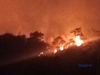 Api Berulang di Towuti, Kemarau Panjang Menguji Kesiapan Menjaga Hutan dan Kebun
