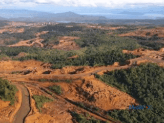 Tambang Sumbang Rp.13,29 Triliun ke PDRB Lutim, Bagaimana dengan PAD?