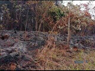 Karhutla Meluas di Perbukitan Malili, Damkar Siaga
